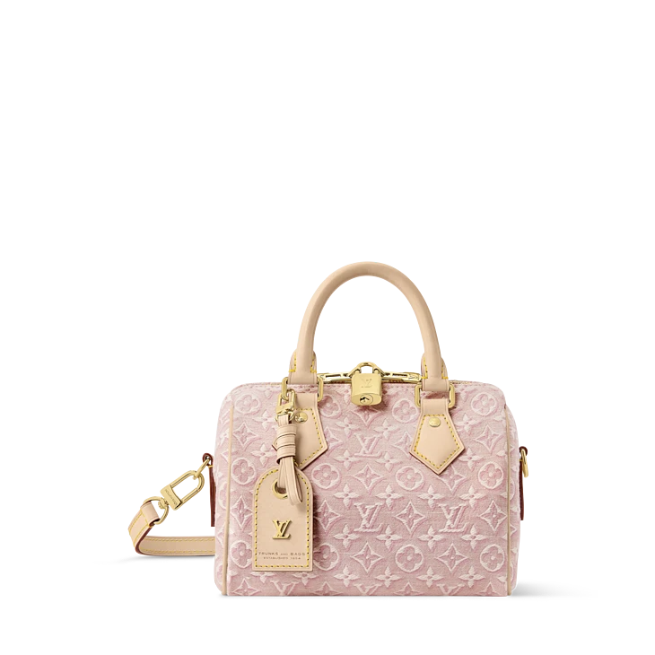 SPEEDY BANDOULIÈRE 20 handbag
